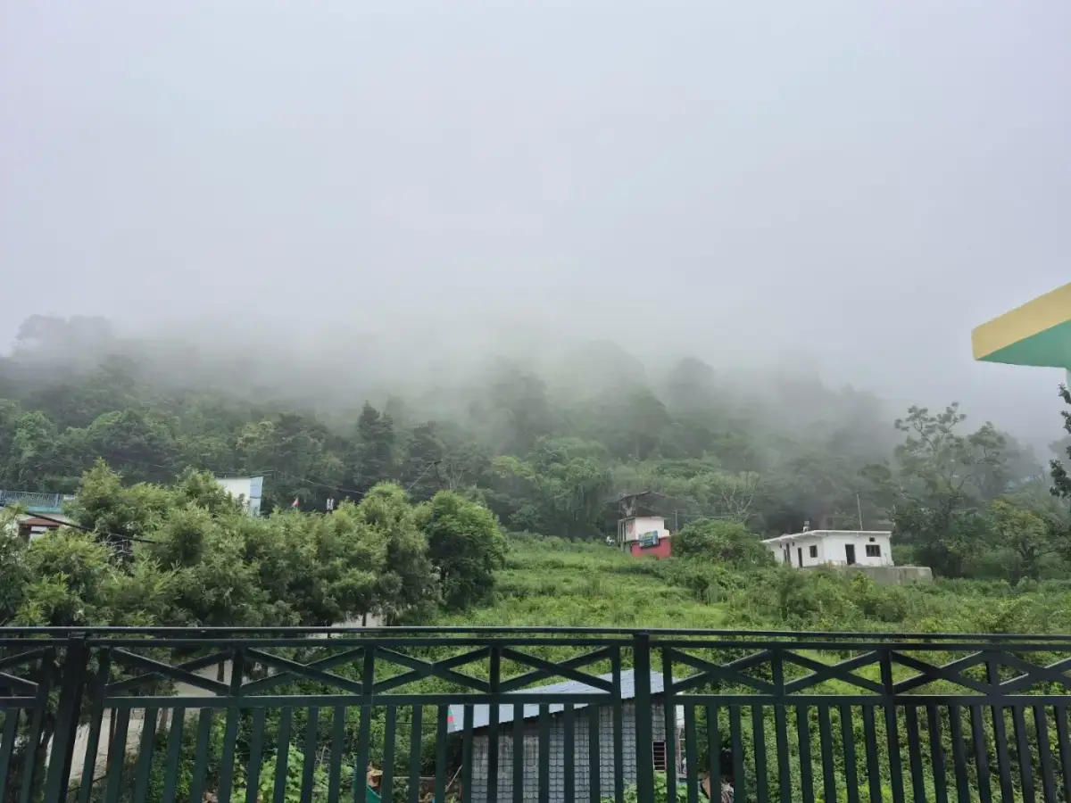 Misty green hillside